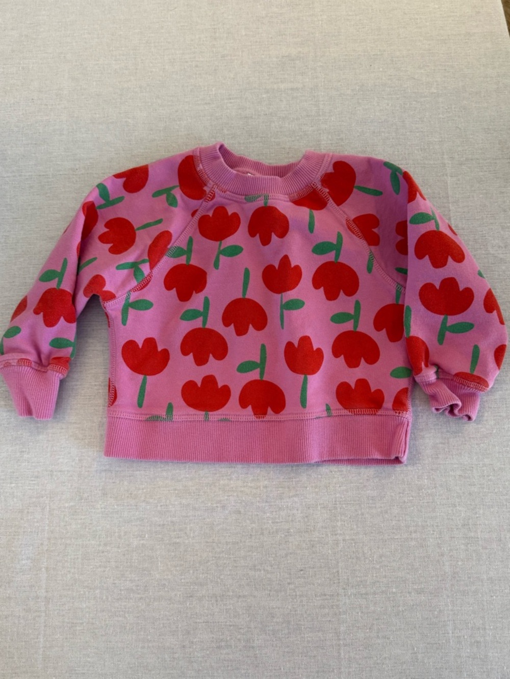 Hanna Andersson French Terry Sweatshirt
